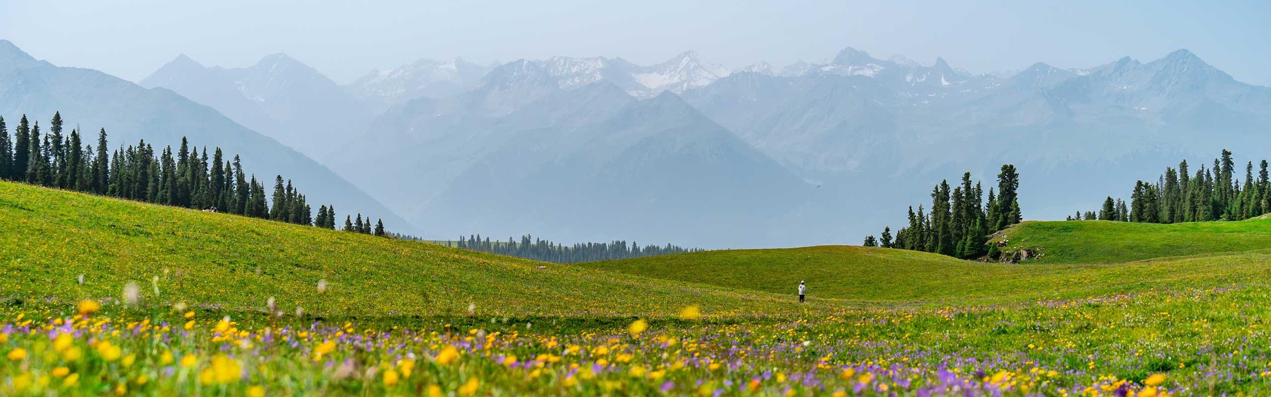 PHARMACEUTICAL–COSMETICS