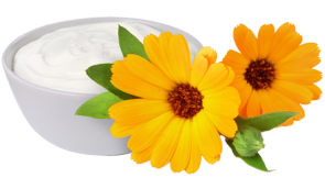 algoflogen